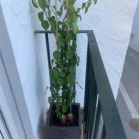 Apartment Bateles